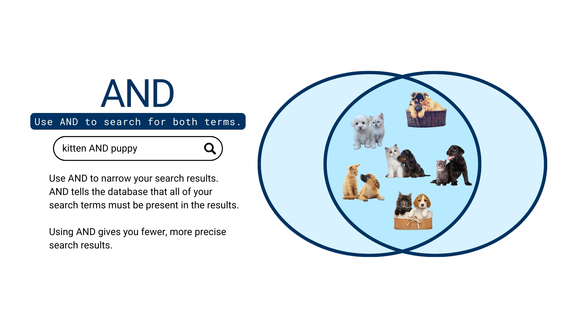 Using AND gives you fewer, more precise search results